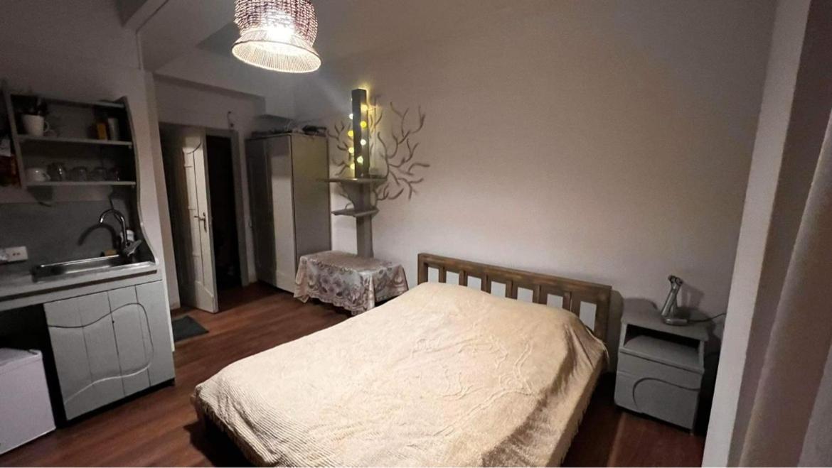 Hotel Mgzavrebi Bakuriani Exteriör bild
